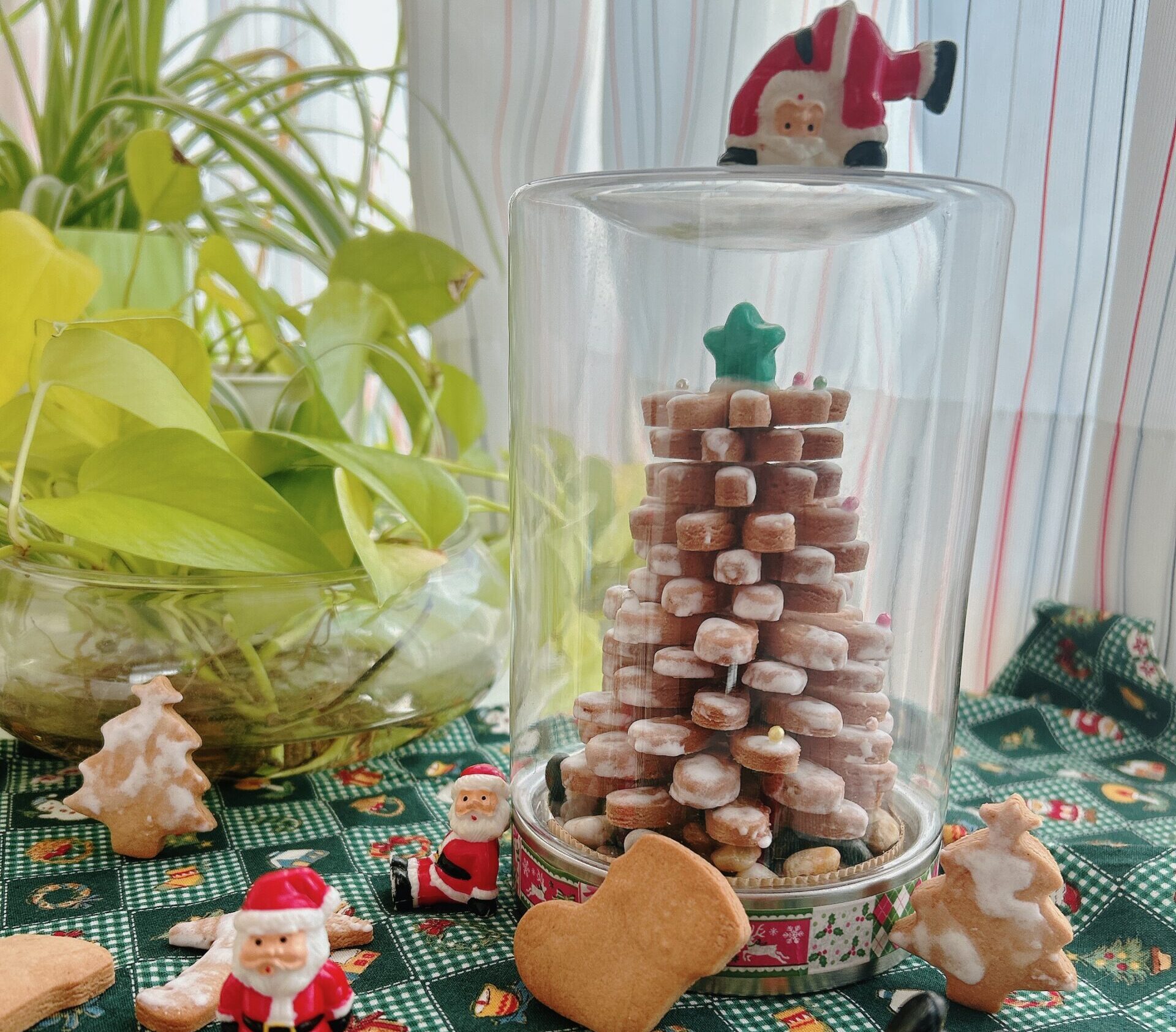 ★★★クリスマス・クッキーツリー